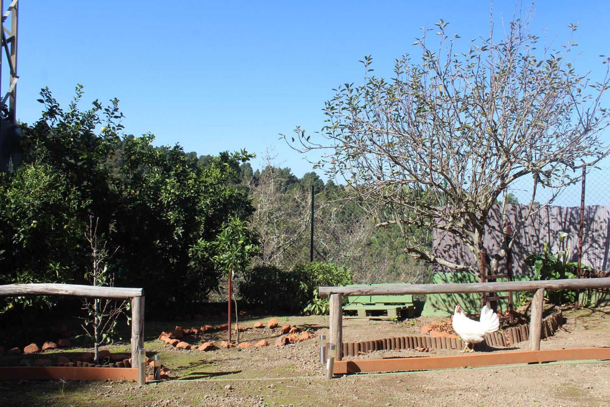 Finca Esther Las Palmas de Gran Canárias Exterior foto